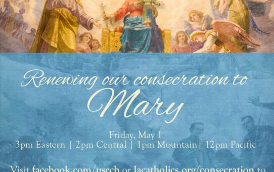 May 1: Consecration of the U.S. to Mary